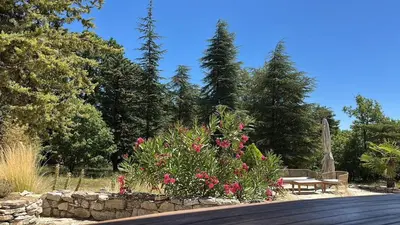 a garden with pink flowers and a bench and trees at Le Bastidon in Caseneuve