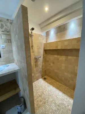 a bathroom with a shower and a sink at Les Tilleuls in Bonnieux