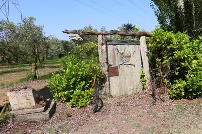 an old out house in a field with bushes at Le Gran Cabano sous les oliviers in Saint-Rémy-de-Provence