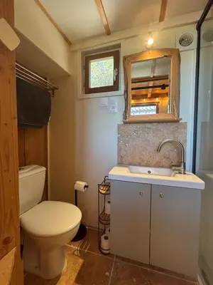 a bathroom with a toilet and a sink and a mirror at La Tiny du Luberon in Pertuis