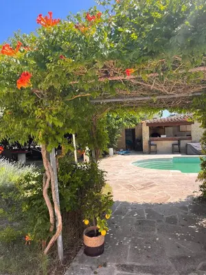 a garden with a tree with red flowers and a pool at Maison 2 ch en campagne 5 mn du centre en voiture avec possibilité piscine familiale in Salon-de-Provence
