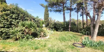 a frisbee laying in the grass next to trees at Appartement au calme à 5min du centre d'Aix-en-Provence avec terrasse vue sur jardin & parking privé in Aix-en-Provence