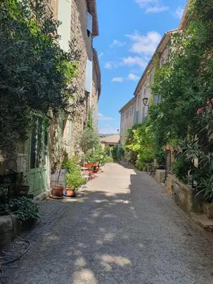 an empty alley with buildings and plants on the sides at Maison Grand Rue - Vue Exceptionnelle sur le Luberon in Lauris