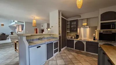 a large kitchen with a sink and a counter at La maison Calavoun in Maubec