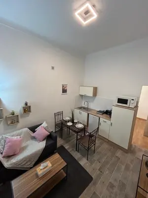 a living room with a couch and a table at T2 centre-ville avec parking privé inclus in Cavaillon
