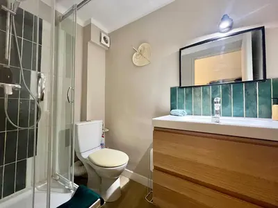 a bathroom with a toilet and a sink and a shower at Le Péli - Cosy, Centre-ville, CLIM, 2 personnes in Pélissanne