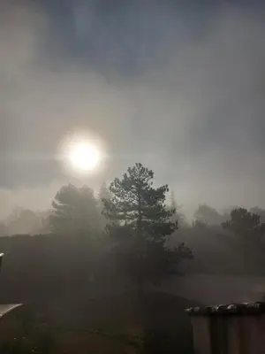 a foggy sunrise with a tree in a field at La Clemensane in Lacoste