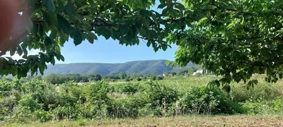 a view of a field with mountains in the background at La Clemensane in Lacoste