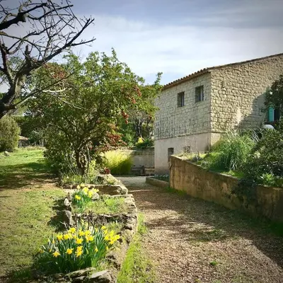 a garden with yellow flowers in front of a building at Chez Pascal et Marion in La Tour-dʼAigues