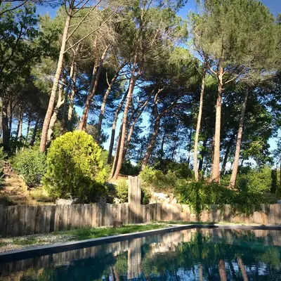 a pool of water with trees in the background at Chez Pascal et Marion in La Tour-dʼAigues