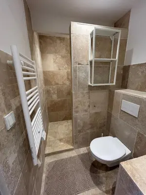 a bathroom with a toilet and a shower at Bastidon provençal entièrement rénové et climatisé in Vaugines