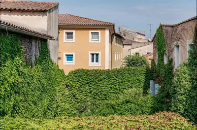 an ivy covered building in front of a house at Le fort 7 Appart centre ville in LʼIsle-sur-la-Sorgue