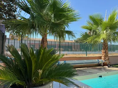 two palm trees next to a swimming pool at Charming ground floor house with pool in Peyrolles-en-Provence
