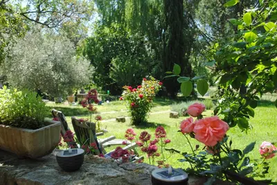 a garden with flowers and chairs in the grass at Chambres d'Hôtes Istrane in Rustrel