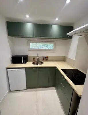 a small kitchen with green cabinets and a sink at Domaine Saint Roch in Saint-Paul-lez-Durance