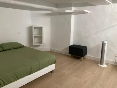 a bedroom with a green bed and a black night stand at Appartement rénové plein centre in Aix-en-Provence