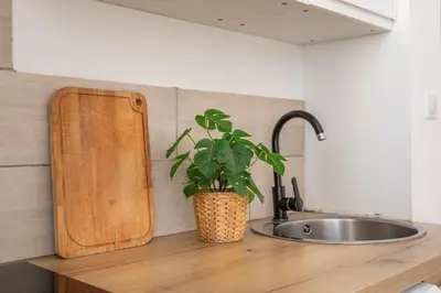 a kitchen counter with a sink and a potted plant at Central studio, perfect for discovering Aix on foot in Aix-en-Provence