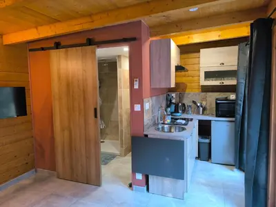 a small kitchen with a sink and a stove at Evasion sous les pins in Aurons