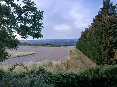a field with a dirt road next to some trees at Maison Provence Noe in Mallemort