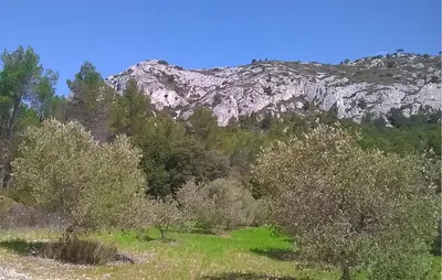 a mountain in the middle of a field with trees at Gîte Avec Piscine in La Tour-dʼAigues