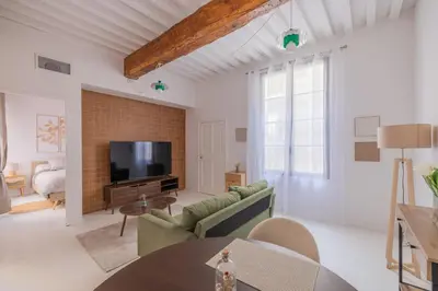 a living room with a couch and a tv at Appartement Belle Lettre 7 in Aix-en-Provence