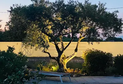a tree and a bench in front of a wall at Mas des Branches d'Or in Cavaillon