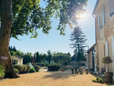 a courtyard with a tree and a building at Mas des Branches d'Or in Cavaillon
