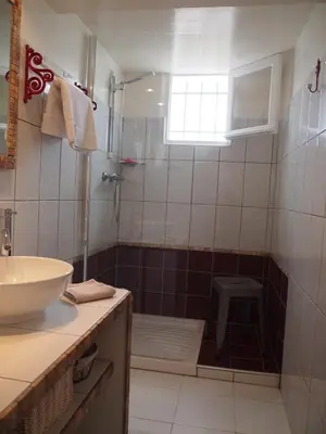 a bathroom with a sink and a shower at Une Heure Bleue in Manosque