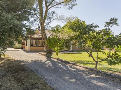 a house with a driveway and trees in front of it at Villa A l'Ombre du Soleil by Interhome in Monteux