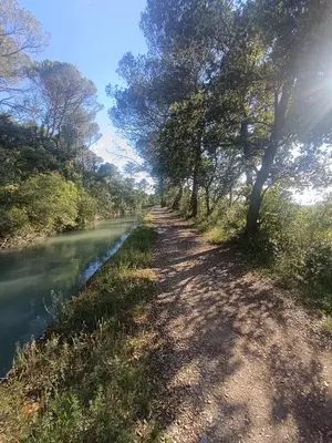 a dirt path next to a river with trees at Villa Bulle de raisin in LʼIsle-sur-la-Sorgue