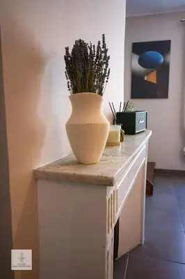 a vase on a counter with a plant in it at Maison des Chaudronniers in Aix-en-Provence