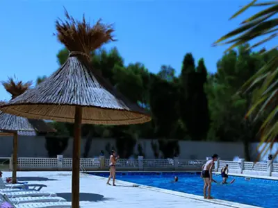 a pool with a straw umbrella and people in the water at Chalet 3 pièces avec terrasse, 4 pers, confort et calme - API-1-52-742 in Noves