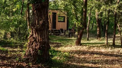 a cabin in the middle of a forest with trees at Homnest - Infusion Provençale - Lisière & Ocres in Viens