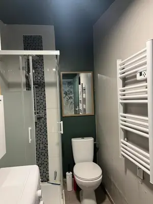 a bathroom with a white toilet and a shower at Petite maison avec piscine le chêne vert in Gargas