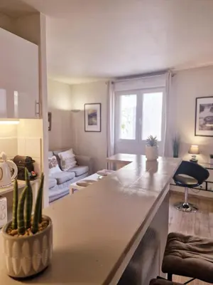 a kitchen and living room with a large counter top at Charmant appart central avec Terrasse & Clim in Aix-en-Provence
