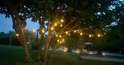 a group of lights hanging from a tree at night at Mas de la Calade Bed & Breakfast in Aix-en-Provence
