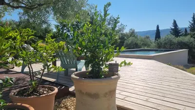 a wooden deck with two potted plants and a pool at Gîte Le Verger Paisible in Malemort-du-Comtat