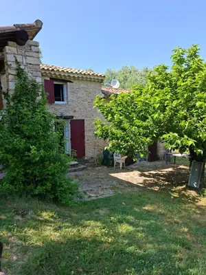 a house with a tree and a chair in the yard at Cabanon provençal en pierre entouré de lavandes in Vachères