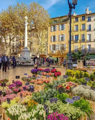 a flower market in a city with flowers in boxes at Le Manuel - Appart T2 cosy Centre ville historique - Place des Prêcheurs Palais de justice in Aix-en-Provence