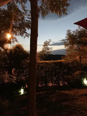 a view of a vineyard at sunset with a tree at Maison entière avec jardin à 5 mn centre ville Aix en Provence in Aix-en-Provence