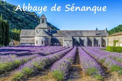 a field of lavender with a church in the background at Appartement Gîte d'Etape Vitrolles en Luberon in Vitrolles-en-Luberon