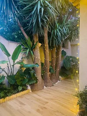a room with a bunch of trees and plants at Tiny House - Les Baïsses - Jardin Tropical in Lançon-Provence