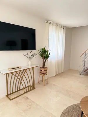 a living room with a table with a plant on it at Appartement Confortable en Provence in Aix-en-Provence