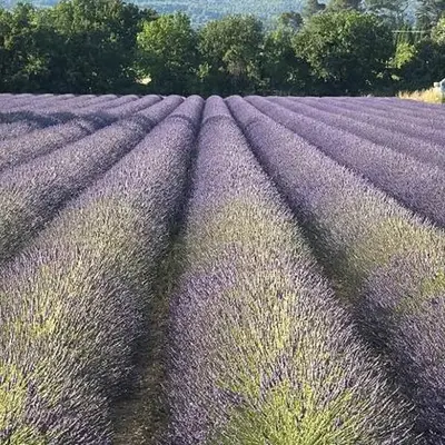 Appartement Confortable en Provence