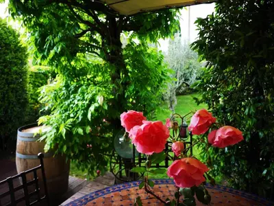 a vase with red flowers sitting on a table at Mas D'Ange en Provence in Les Taillades