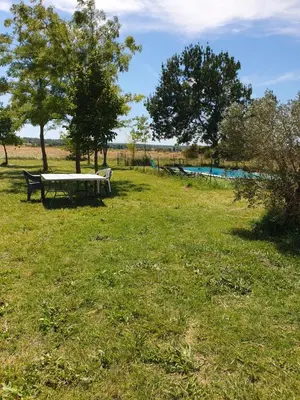 a picnic table and two trees in a field at Évasion provençale in Saint-Cannat