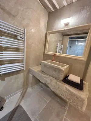 a bathroom with a stone sink and a mirror at Le Jas de la Cascade in Les Vignères