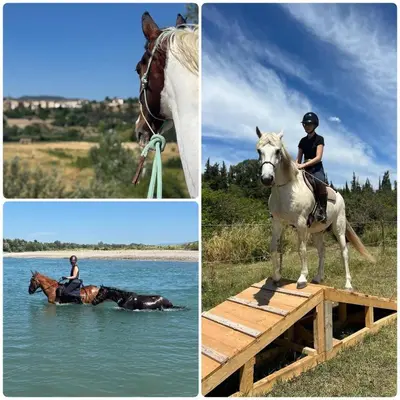 a woman is riding a horse in the water at Le mazet du cavalier in Puyvert