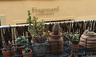 a group of potted plants in front of a store at Appartement charmant d'Aix-en-Provence in Aix-en-Provence
