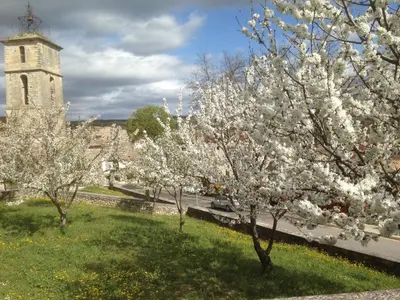 a group of trees in a field with a tower at Attractive Holiday Home in C reste with Pool in Céreste